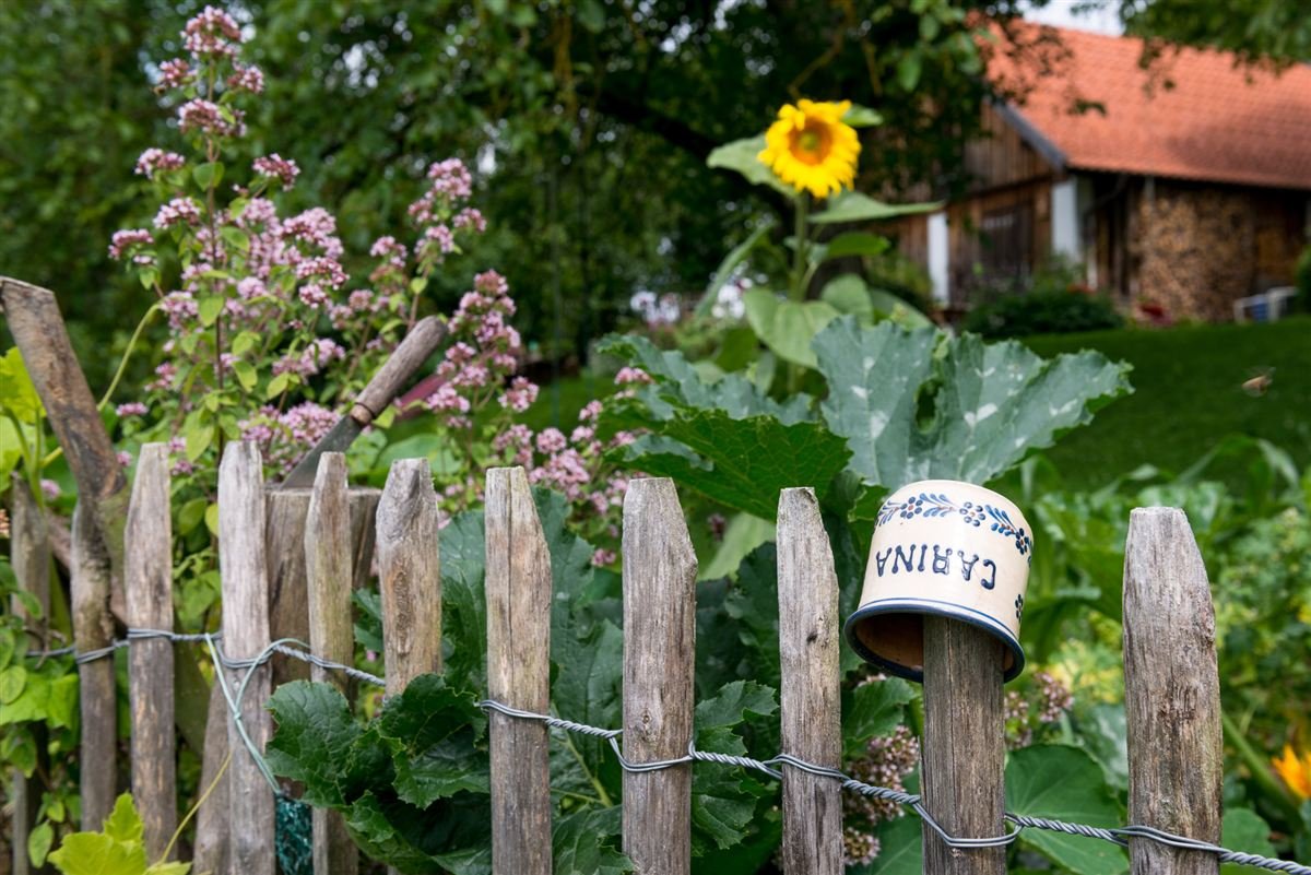 Gartenzaun mit einer Keramiktasse mit der Aufschrift Carina, Sonnenblume und Bauernhaus im Hintergrund